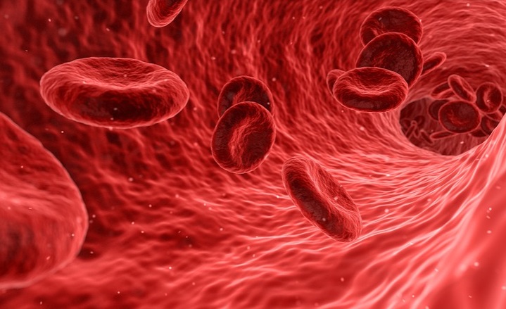 Blood Circulation After Heat Therapy